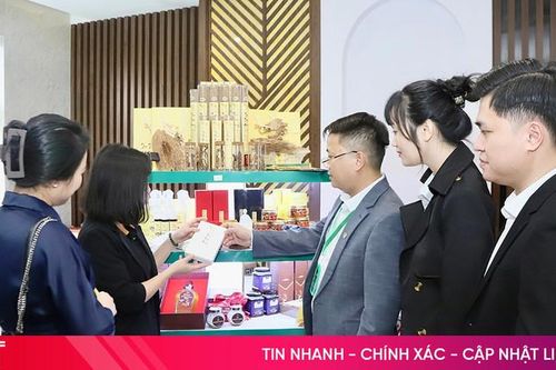 Cơ hội cho doanh nghiệp lữ hành Hà Tĩnh kết nối, phát triển du lịch