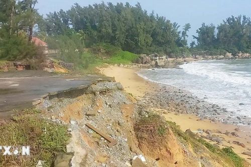 Quảng Ngãi yêu cầu xử lý điểm sạt lở bờ biển tại huyện Bình Sơn