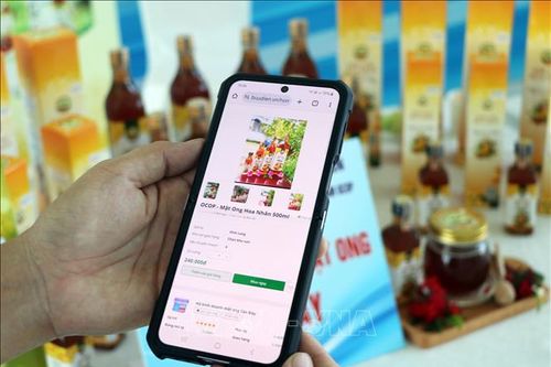 Bảo hộ và thực thi quyền đối với nhãn hiệu trên nền tảng số