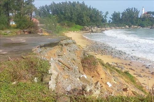 Quảng Ngãi yêu cầu xử lý điểm sạt lở bờ biển tại huyện Bình Sơn