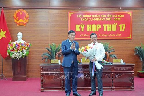 Chuyển đổi số là điều kiện tốt để tinh gọn bộ máy