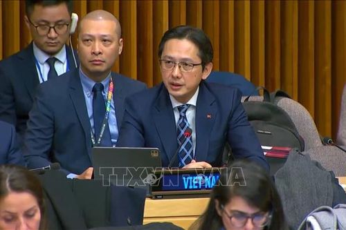 Việt Nam cam kết mạnh mẽ đóng góp vào nỗ lực cứu trợ nhân đạo của LHQ