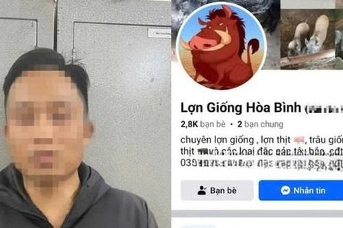 Bắt đối tượng lừa mua bán lợn trên mạng để chiếm đoạt tiền đặt cọc