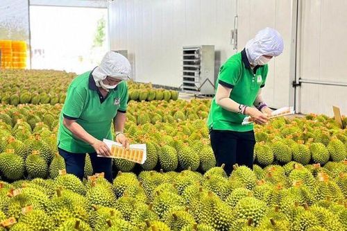 Thương mại 2 chiều Việt-Trung sắp cán mốc kỷ lục 200 tỷ USD
