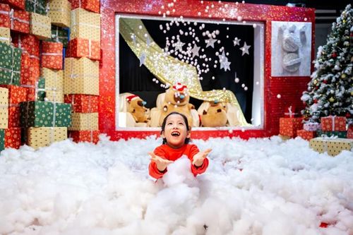 'Nhà của ông già Noel' bất ngờ xuất hiện tại khu đô thị của nhà sáng lập Ecopark