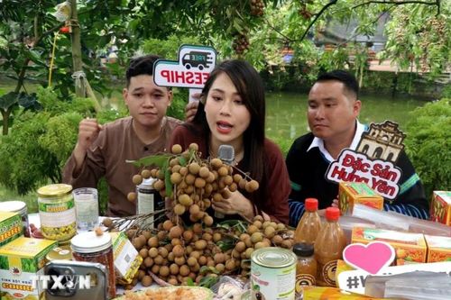 Hà Nội: Khai thác tối đa lợi ích của thương mại điện tử, kích cầu tiêu thụ nông sản