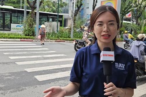 Kỳ lạ vạch kẻ cho người đi bộ sang đường nối thẳng vào bụi cây