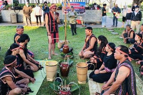 Gia Lai: Phục dựng lễ hội bảo tồn văn hóa, phát triển du lịch