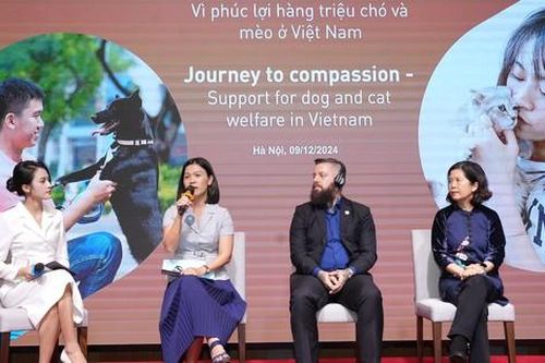 Buôn bán, giết mổ chó mèo làm ảnh hưởng đến du lịch Việt