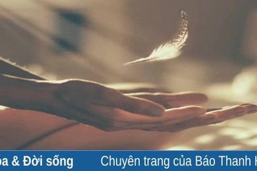 Một kiếp đủ rồi
