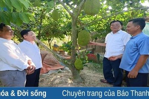 Trưởng thôn 'thắp lửa' phong trào nông thôn mới
