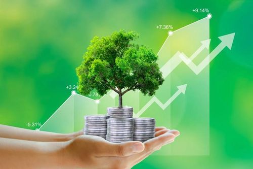Sẽ có tiêu chí môi trường và xác nhận với dự án được cấp tín dụng xanh