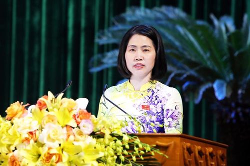 Chất vấn nhiều vấn đề nóng liên quan đến doanh nghiệp, dự án bất động sản tại Bắc Giang