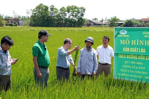Chuyển đổi nông nghiệp sinh thái để giảm phát thải khí nhà kính