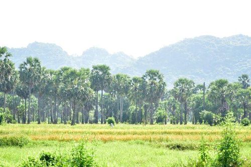 Bảy Núi chuyển mùa