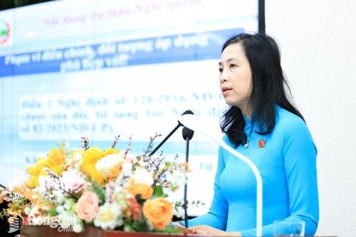 Cử tri đặc biệt quan tâm đến vấn đề quy hoạch, đầu tư, xây dựng, đất đai