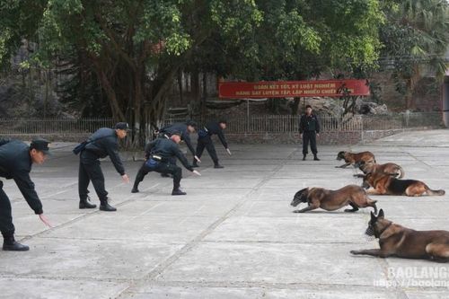Đội quản lý, sử dụng động vật nghiệp vụ: Lực lượng đặc thù với những 'chiến sĩ đặc biệt'