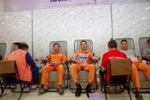 Công ty Nhiệt điện Hải Phòng hưởng ứng Tuần lễ hồng EVN lần X