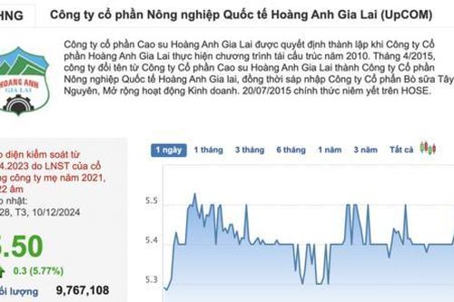 Bộ đôi HAG – HNG liên tục được 'gom' mạnh