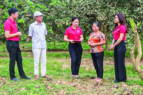 Sát cánh cùng khách hàng vực dậy sau bão