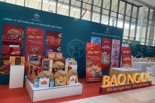Tập đoàn Đầu tư Bảo Ngọc (BNA): Dòng tiền âm nặng, nợ phải trả gấp đôi vốn chủ sở hữu, nhiều dự án chậm tiến độ