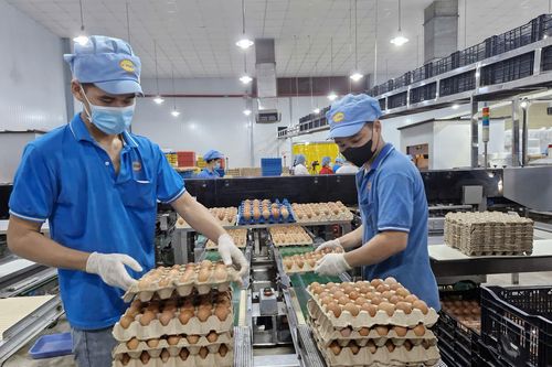 Doanh nghiệp TP.HCM tất bật lo hàng Tết, dồn lực chờ bùng nổ mua bán tháng Chạp