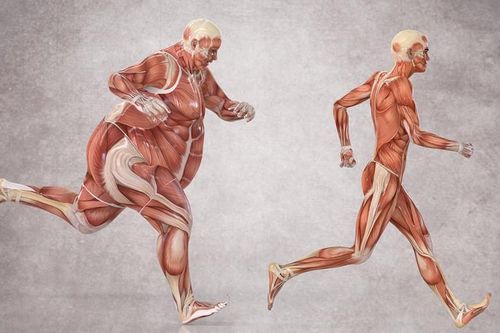 Chạy bộ mỗi ngày có tác dụng gì?