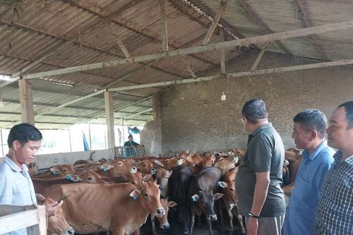 Chương trình MTQG: Góp phần thay đổi tốt hơn bức tranh vùng đồng bào dân tộc