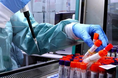 Toàn cảnh vụ thất lạc 300 lọ virus nguy hiểm chết người ở Australia