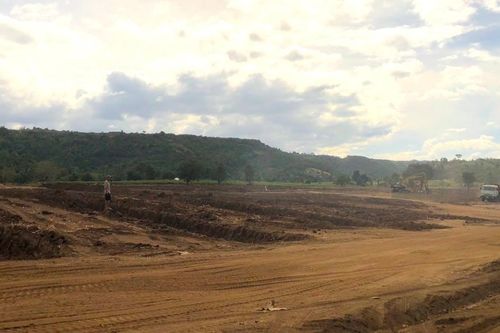 Gia Lai: hơn 5 héc ta đất lâm nghiệp bị san ủi trái phép