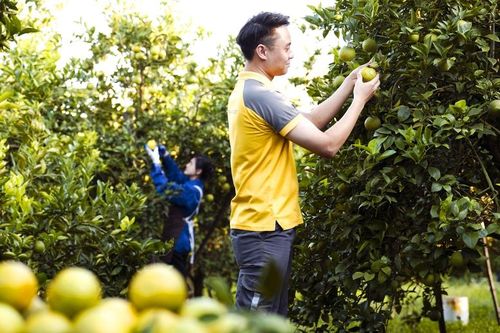 Mang nông sản Việt lên môi trường số