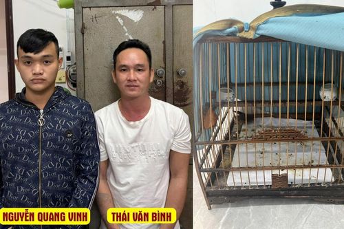 Bắt khẩn cấp 2 đối tượng cướp lồng chim