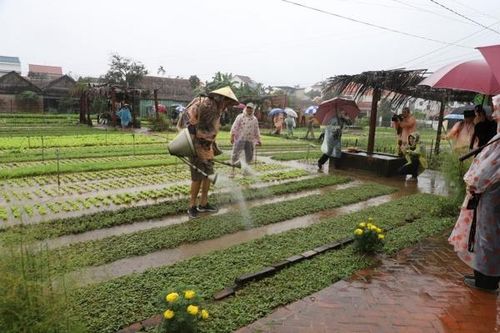 Đại biểu quốc tế hào hứng tham quan, trải nghiệm tại làng rau Trà Quế, Hội An