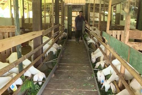 Hiệu quả từ các mô hình kinh tế ở vùng nông thôn