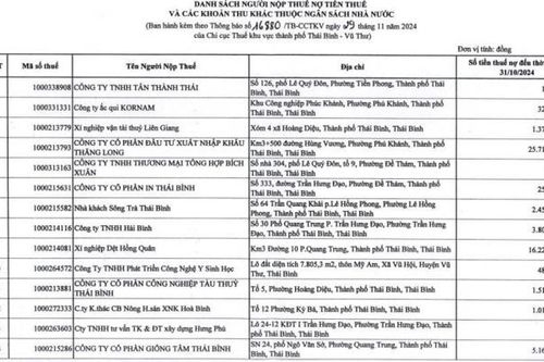 Thái Bình công khai 269 đơn vị nợ hơn 838 tỷ đồng tiền thuế