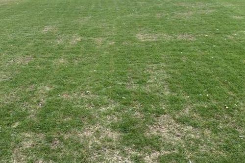 Vì sao VFF đứng ngồi không yên khi quan chức AFF đến sân Mỹ Đình?