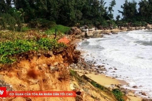 Quảng Ngãi tiếp tục chỉ đạo xử lý điểm sạt lở bờ biển