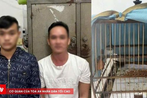 Liều lĩnh vào nhà dân cướp lồng chim