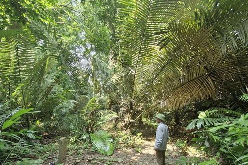 Nguyện vọng của dân bản Kẻ Khoang