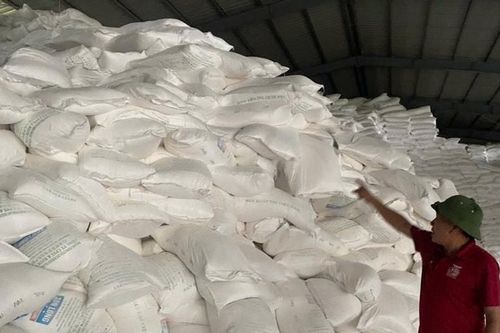 Tinh bột sắn khó tiêu thụ, các nhà máy ở Nghệ An tồn kho nhiều