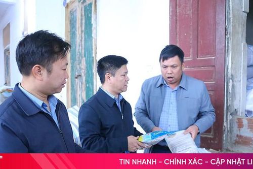 Tăng cường kiểm soát chất lượng giống, vật tư nông nghiệp