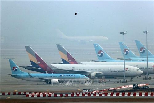 Hàn Quốc hỗ trợ các hãng hàng không giá rẻ sau thương vụ Korean Air-Asiana