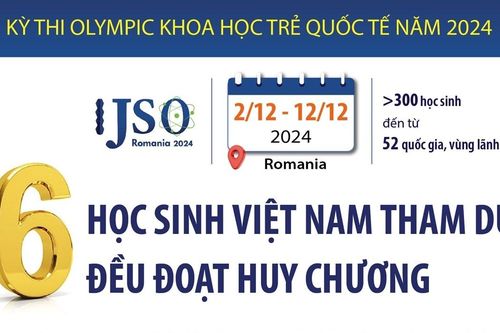 Cả 6 học sinh Việt Nam tham dự đều đoạt huy chương