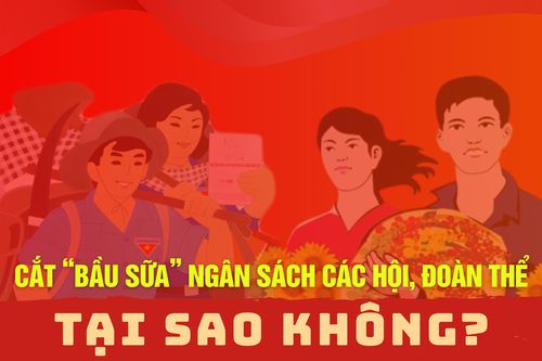 Cắt 'bầu sữa' ngân sách các hội, đoàn thể: Tại sao không?