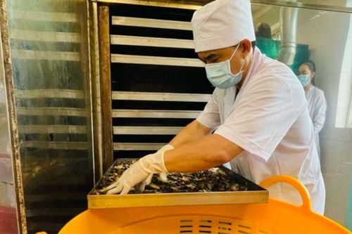 Lạng Sơn phát triển dược liệu và thuốc cổ truyền theo quy mô công nghiệp