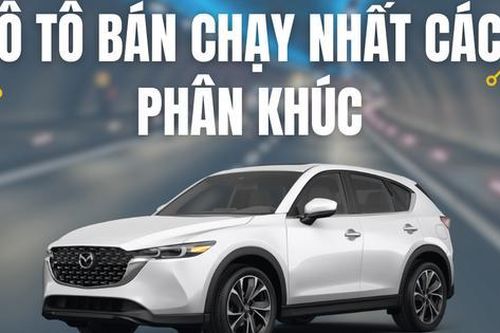 Những mẫu xe bán chạy nhất phân khúc năm 2024