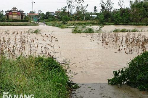 Cảnh báo lũ trên các sông