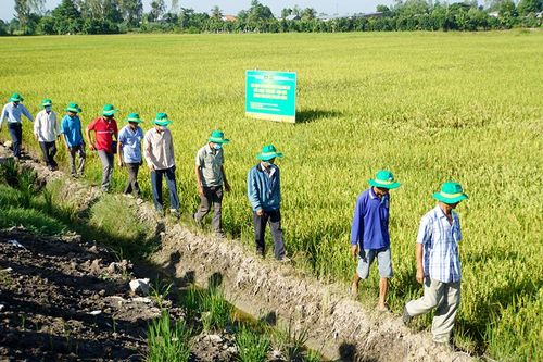 Sử dụng, buôn bán thuốc bảo vệ thực vật an toàn, có trách nhiệm