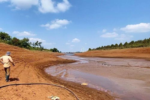 Vụ Đông Xuân 2024-2025: Nguy cơ thiếu nước tưới cục bộ