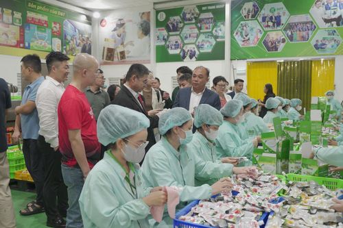 Doanh nghiệp Trung Quốc tìm cơ hội nhập khẩu rong nho Khánh Hòa